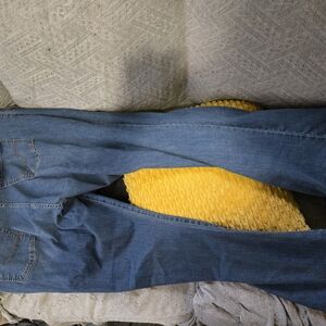 Signature Levi Strauss Blue Jeans